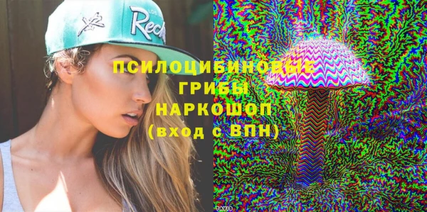стаф Майский