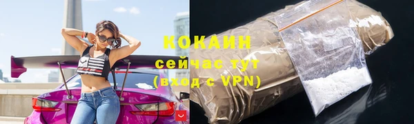 a pvp Магас