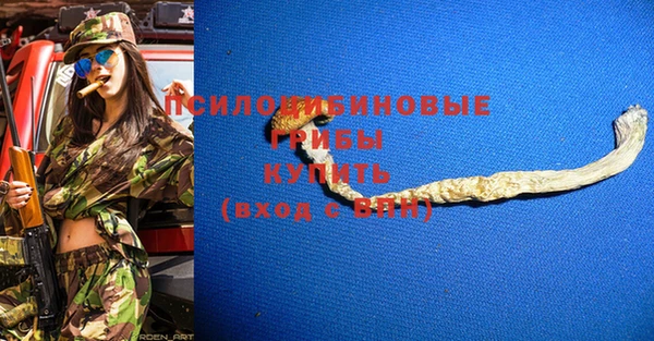 a pvp Магас