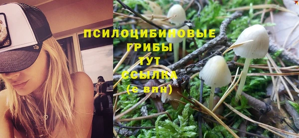 a pvp Магас