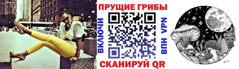 Псилоцибиновые грибы прущие грибы  наркотики  Щёлкино 